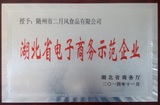 湖北省電子商務示范企業